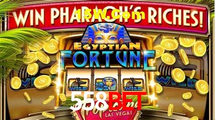 Experiência VIP 558Bet